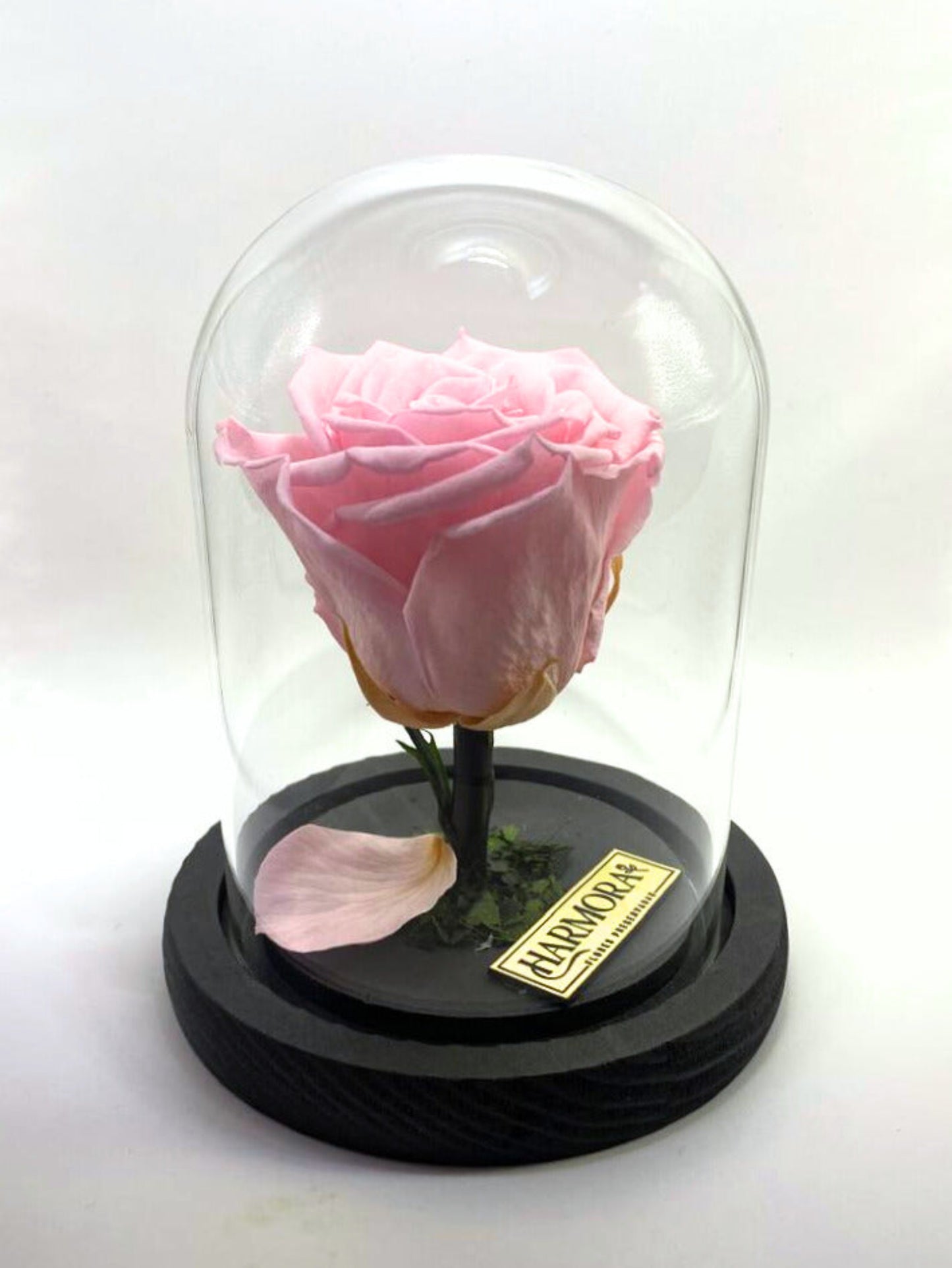 rosa dulzura