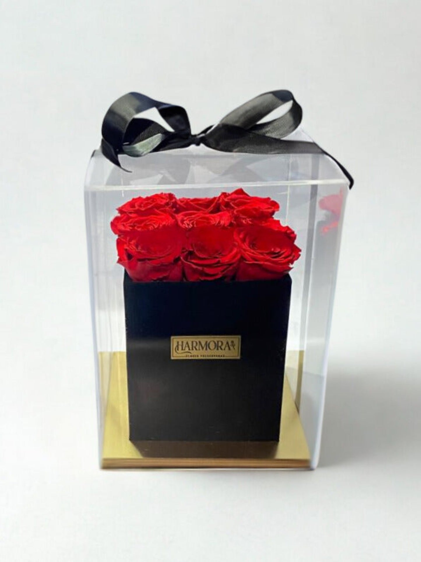 box 9 rosas