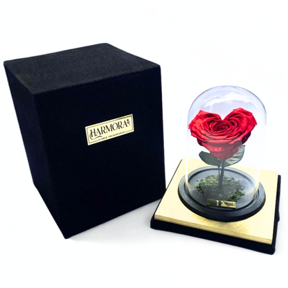 Rosa Corazón XL