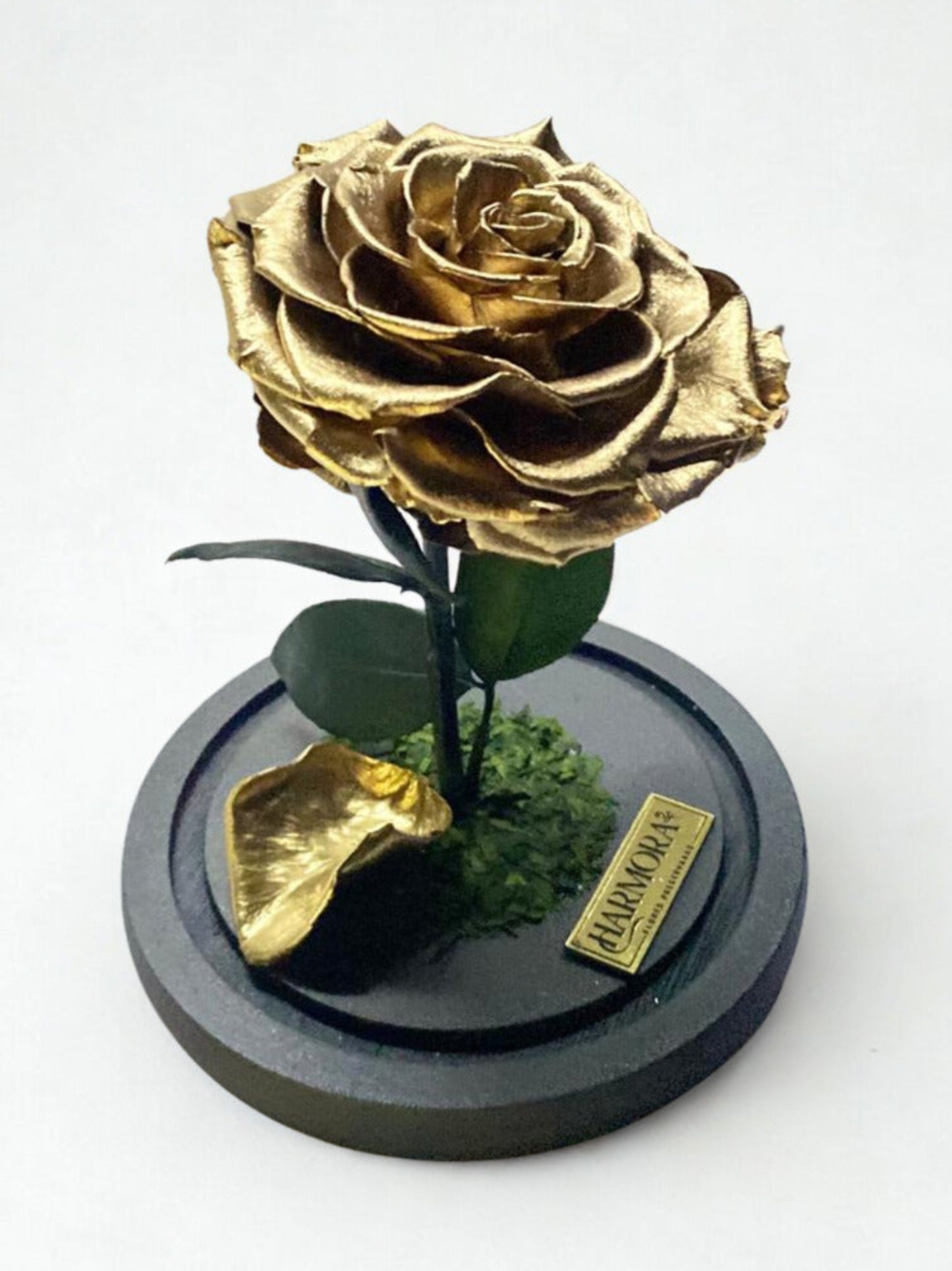 rosa gold xl