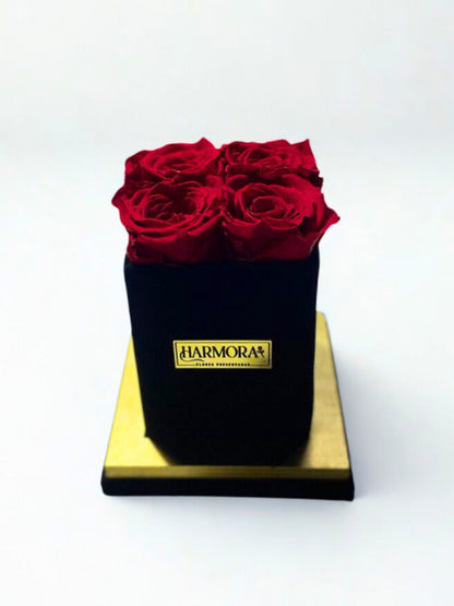 Box 4 rosas